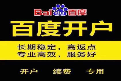 百度SEO推广实战：行业领先企业的成功之道